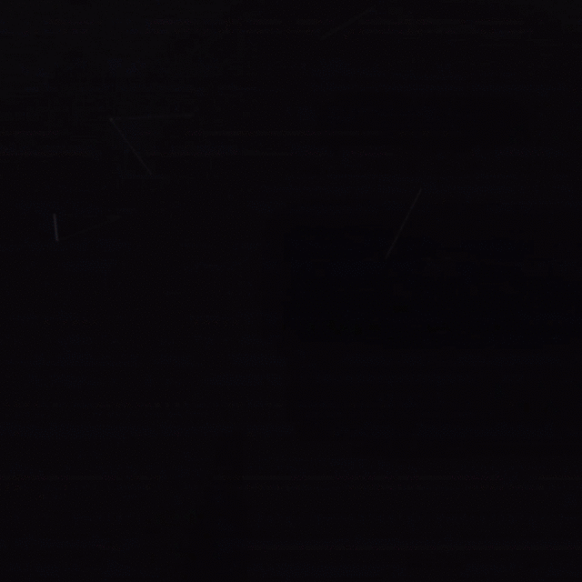 FLIBBERTIGIBBET PINK