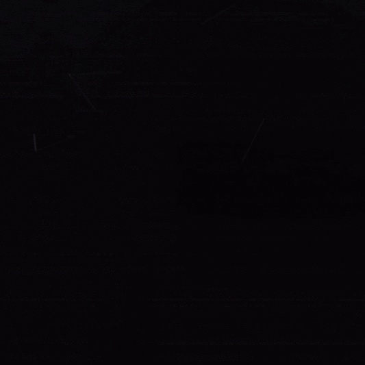 FLIBBERTIGIBBET PINK