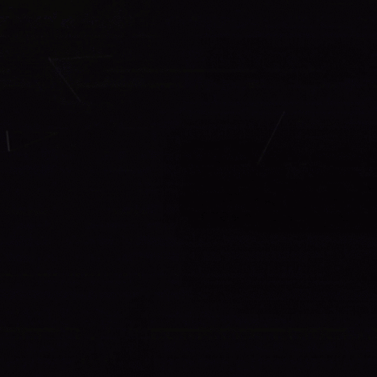 FLIBBERTIGIBBET YELLOW